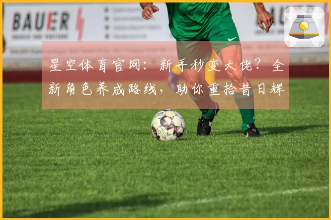 星空体育官网：新手秒变大佬？全新角色养成路线，助你重拾昔日辉煌！