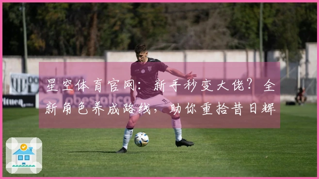 星空体育官网：新手秒变大佬？全新角色养成路线，助你重拾昔日辉煌！