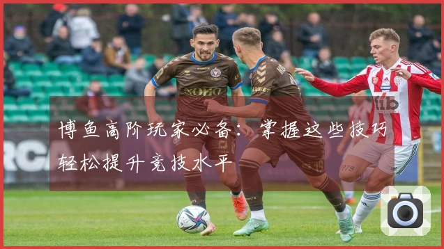 博鱼高阶玩家必备：掌握这些技巧轻松提升竞技水平