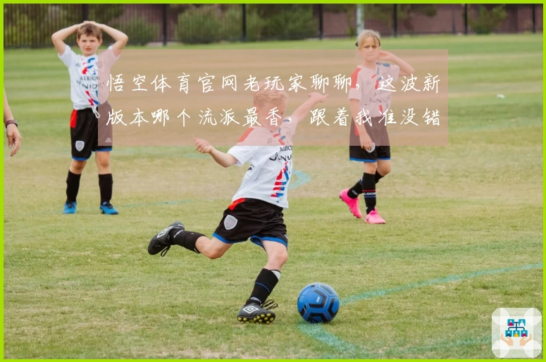 悟空体育官网老玩家聊聊，这波新版本哪个流派最香，跟着我准没错！