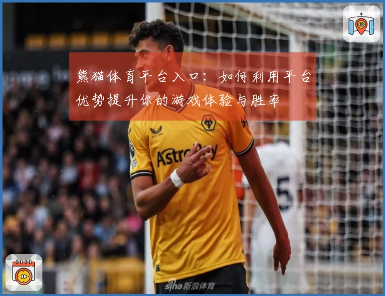 熊猫体育平台入口：如何利用平台优势提升你的游戏体验与胜率